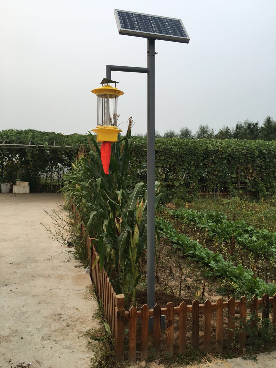 �е�̫��ܚ��x��